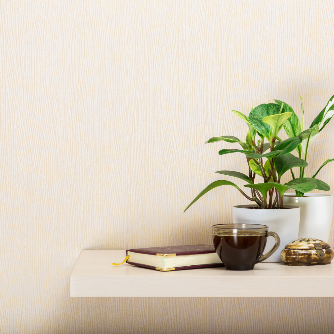 The Space Between Words